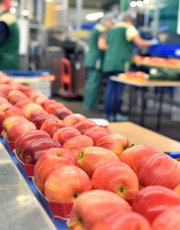 Line Balance / Labour Utilisation Within Food and Drink Sector