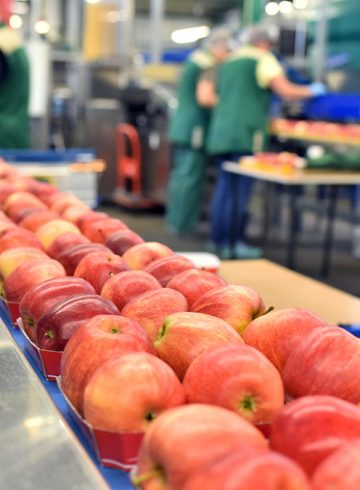 Line Balance / Labour Utilisation Within Food and Drink Sector