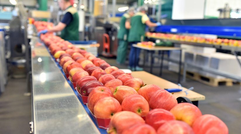 Line Balance / Labour Utilisation Within Food and Drink Sector